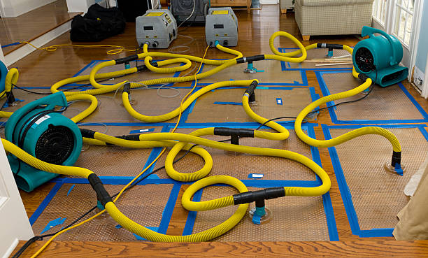 Professional Basement Flood Cleanup technician working in Chatsworth, NJ